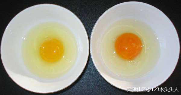 土鸡蛋和饲料鸡蛋的区别